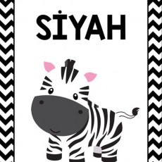 Siyah Zebra Eğitici Kart