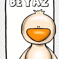 Beyaz Kedi: Eğitici Çizim ve Renk Öğrenme Materyali