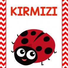 KIRMIZI KİŞİNEK - 1 (Renk Öğretimi)