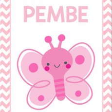 Pembe Kelebek Eğitici Kart Görseli