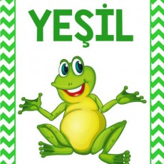 Yeşil Renk ve Kurbağa Eğitimi