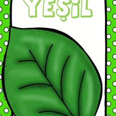 Yesil_Renk_ve_Yaprak_Egitimi
