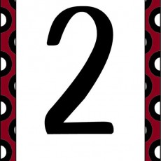 Sayı Kartı: 2 (İki) - Temel Eğitim Materyali