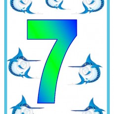 Mavi Kılıçbalığı Temalı 7 (Yedi) Sayısı