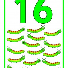 16 Sayısı ve Yavru Tırtıllar: Sayma ve Tanıma Eğitimi