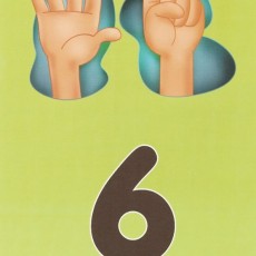 Sayı Eğitimi: Altı (6) - Seis