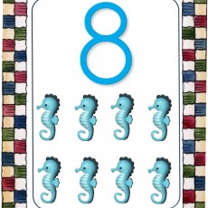 8 Seahorses Educational Card - Sayı ve Denizatı Öğrenme