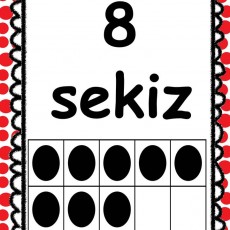 Sekiz 8 Eğitim Materyali - Sayı ve Yazımı