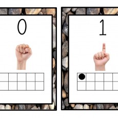 Sayıların Öğrenimi: 1 ve 0