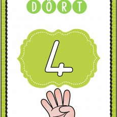 Dört-4, Sayı Öğrenimi ve Parmaklarla Sayma Eğitimi