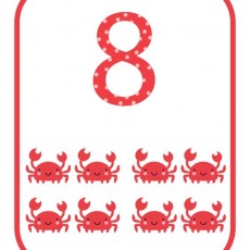 Eğitici Kart: 8 (Sekiz) Karides