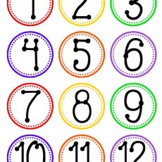 Eğitici Sayı Kartları: 1'den 12'ye Kadar Sayılar ve Renkler
