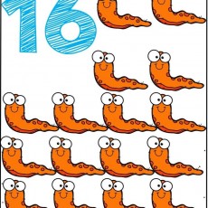 Sevimli Solucanlar ve Sayılar: 16 Solucan