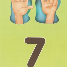Eğitim Materyali: 7 (Yedi) Sayısı ve İşaret Dili