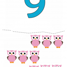 9 OWLS - Educational Material for Counting