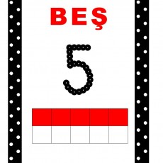 BEŞ 5: Sayı ve Renk Eğitimi