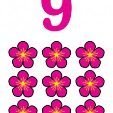 9 (dokuz) Pembe Çiçekler ile Sayı Eğitimi - Görsel Öğrenme