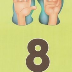 Rakam ve Sayılar: 8 (Oito) Öğretici Materyali