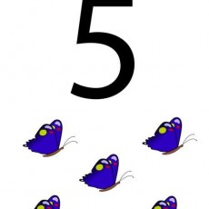 5 SAYISI VE BEŞ MAVİ Kelebek