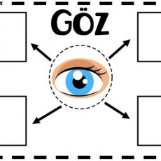 Göz Üzerine Eğitim Materyali