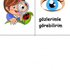 Gözlerimle Gözlem Yapıyorum: Çocukların Doğayı Keşfetmesi İçin Eğitim Materyali