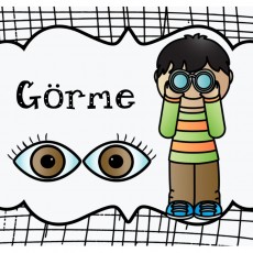 Görme Koncepti: Keskin Görüş ve Göz Kullanımı