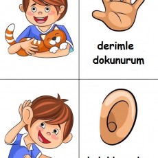 Hissedebilme Becerileri: Dokunma ve Duyma Eğitimi