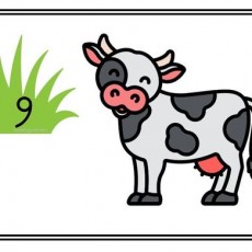Eğitici Görsel: Sığır ve Doğa - 6