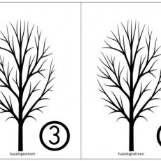 Sayısal ve Grafiksal Ağaç Yapısı - 4 ve 3