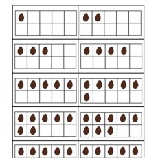 5_Adet_Brown_Shape_Introduction