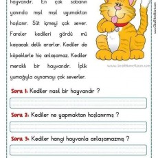 KEDİ: Sevimli Hayvanlar ve Oyun Alışkanlıkları - Eğitsel Materyal