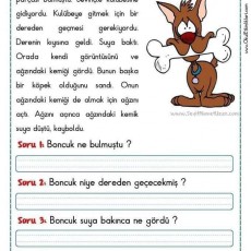 Aç Gözlü Boncuk: Kemik Bulma Hikayesi ve Soruları