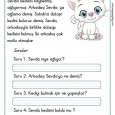 Minik Kedi: Hikaye ve Sorularla Okuma Anlayışı Etkinliği