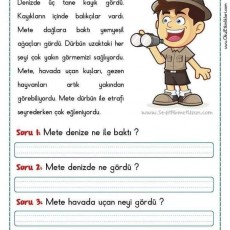 Dürbün ile Gözlem: Mete'nin Deniz Macerası