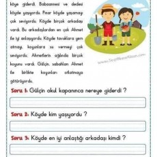 Yaz Tatili: Gülçin'in Köy Maceraları - Çocuk Eğitimi için Yazılı Materyal