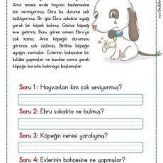 Yaralı Köpek: Ebru'nun Hayvan Sevgisi ve Özgürlük Hikayesi