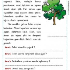 Ağaca Kaçan Top - Hikaye ve Sorular