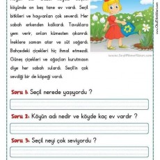 Seçil'in Hayatından Öğrenme Materyali - Doğa ve Hayvanlar Hakkında Bilgiler