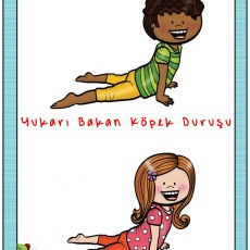 Yukarı Bakan Köpek Duruşu - Yoga Eğitim Materyali