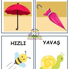 Açık ve Kapalı: Temel Kavramlar Hızlı ve Yavaş
