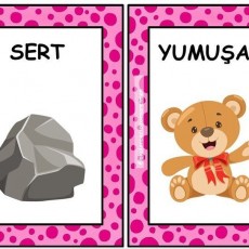 YUMUŞAK ve SERT Kavramları - Ayı ve Taş İllüstrasyonu
