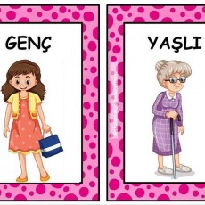 Yaşlı ve Genç: Karşılaştırma Kartları - Eğitim Materyali