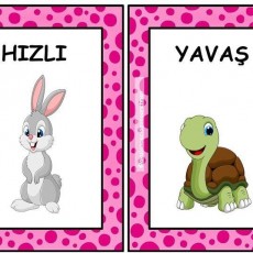 Yavaş ve Hızlı: Kaplumbağa ile Tavşan Öğrenim Kartları