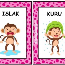 Kuru ve Islak: Maymun Temalı Eğitim Kartları