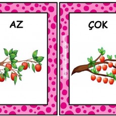 ÇOK ve AZ: Zenin Sayısı Eğitimi Kartları - Nitelik ve Miktar Kavramları