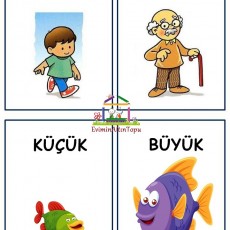 Genç ve Yaşlı, Küçük ve Büyük: Karşıt Kavramlar Eğitimi