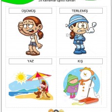 Zıt Kavramlar Eğitim Kartları: Üşümüş, Terlemiş, Yaz, Kış