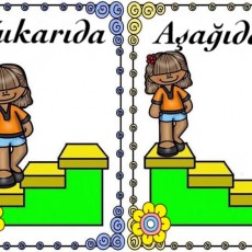 Aşağıda ve Yukarıda Eğitici Kartlar: Yön Kavramları