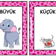 KÜÇÜK ve BÜYÜK Kavramları - Fare ve Fil İllüstrasyonları