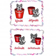 Kedi ve Kova Konumları Eğitim Materyali